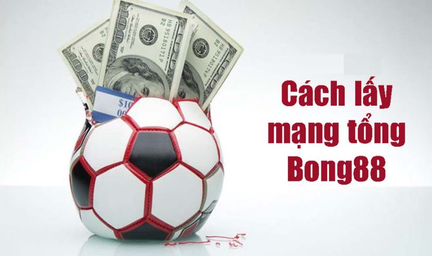 Lấy mạng tổng bong88 tại mangbong88.bet với tỷ lệ hoa hồng cực cao