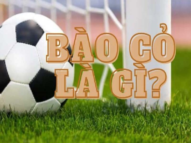 Bào cỏ là gì? Hướng dẫn cách bào cỏ đơn giản nhất hiện nay