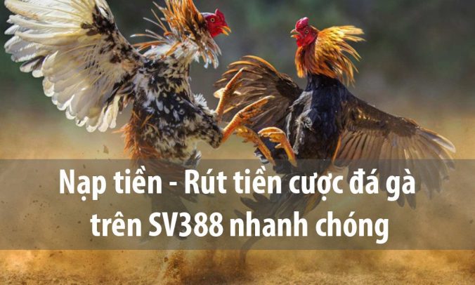 Hướng dẫn nạp – rút tiền SV388