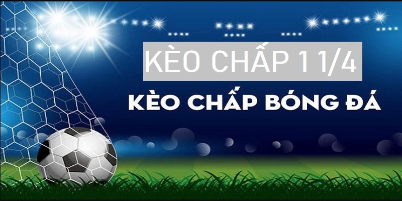 Kèo chấp 1 1/4 là gì?