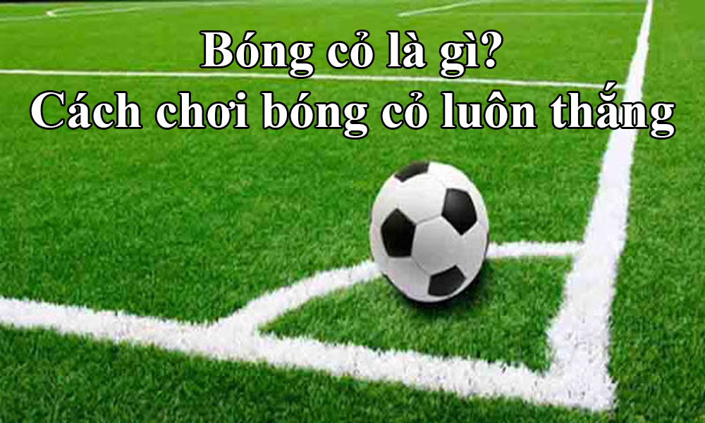 Bóng cỏ là gì? Kinh nghiệm đánh bóng cỏ hiệu quả