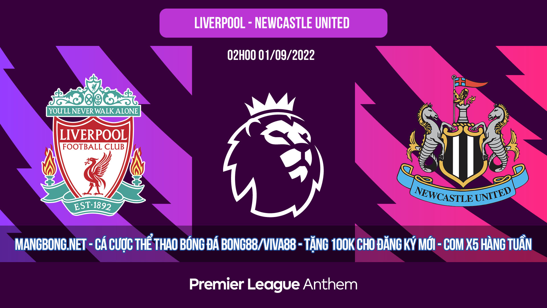 Soi kèo Liverpool vs Newcastle United 02h00 01/09/2022