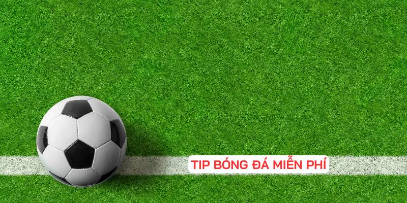 Tip bóng đá miễn phí ngày 24-12-2023